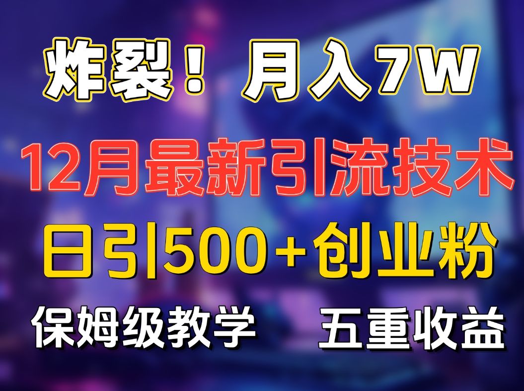 炸裂！月入7W+揭秘12月最新日引流500+精准创业粉，多重收益保姆级教学-靠谱项目库