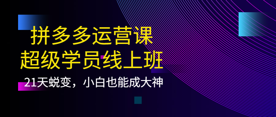 拼多多运营课：超级学员线上班，21天蜕变，小白也能成大神-靠谱项目库