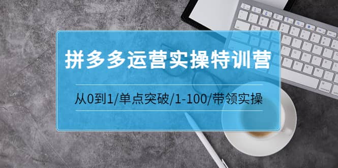 拼多多运营实操特训营：从0到1/单点突破/1-100/带领实操 价值2980元-靠谱项目库