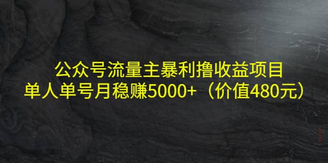 公众号流量主暴利撸收益项目，单人单号月稳赚5000+（价值480元）-靠谱项目库