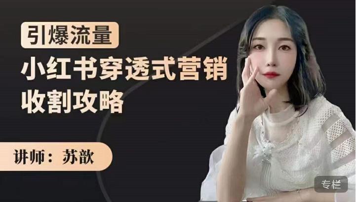 小红书穿透式营销收割攻略，引爆流量，助你玩转小红书-靠谱项目库