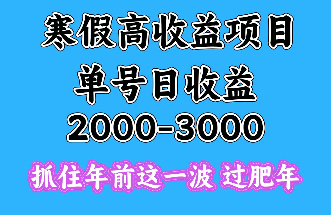 寒假期间一天收益2000-3000+，抓住年前这一波-靠谱项目库