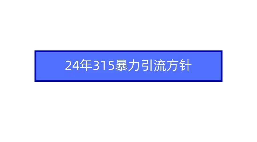 2024年315暴力引流方针-靠谱项目库