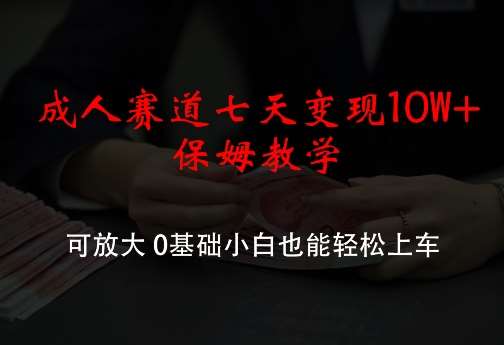 成人赛道七天变现10W+保姆教学，可放大，0基础小白也能轻松上车【揭秘】-靠谱项目库
