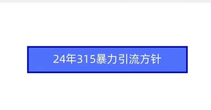 24年315暴力引流方针-靠谱项目库