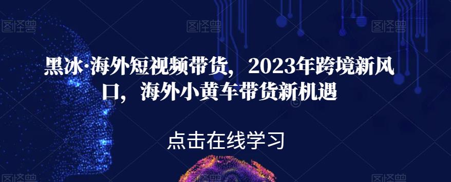 黑冰·海外短视频带货，2023年跨境新风口，海外小黄车带货新机遇-靠谱项目库