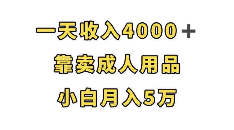 一天收入4000+，靠卖成人用品，小白轻松月入5万【揭秘】-靠谱项目库