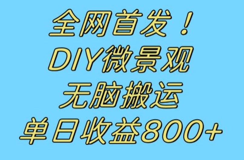 全网首发冷门赛道！DIY微景观，无脑搬运视频，日收益800+【揭秘】-靠谱项目库