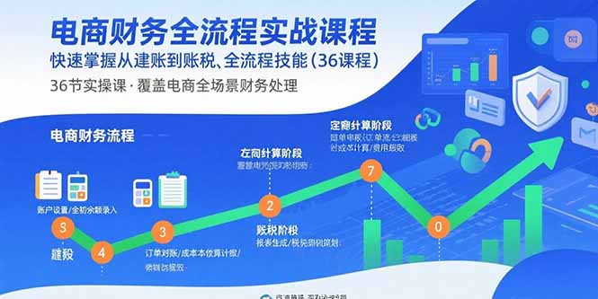 （15883期）电商财务全流程实战课程：快速掌握从建账到报税的全流程技能（36节课）-靠谱项目库