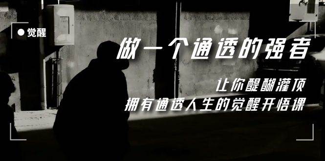 觉醒-做一个通透强者，让你醍醐灌顶，拥有通透人生，掌握强大的秘密-靠谱项目库