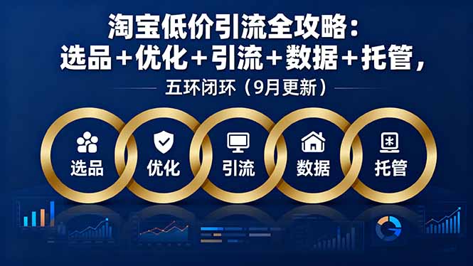 （16009期）淘宝低价引流全攻略：选品＋优化＋引流＋数据＋托管，五环闭环（9月更新）-靠谱项目库