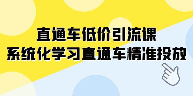 直通车-低价引流课，系统化学习直通车精准投放（14节课）-靠谱项目库