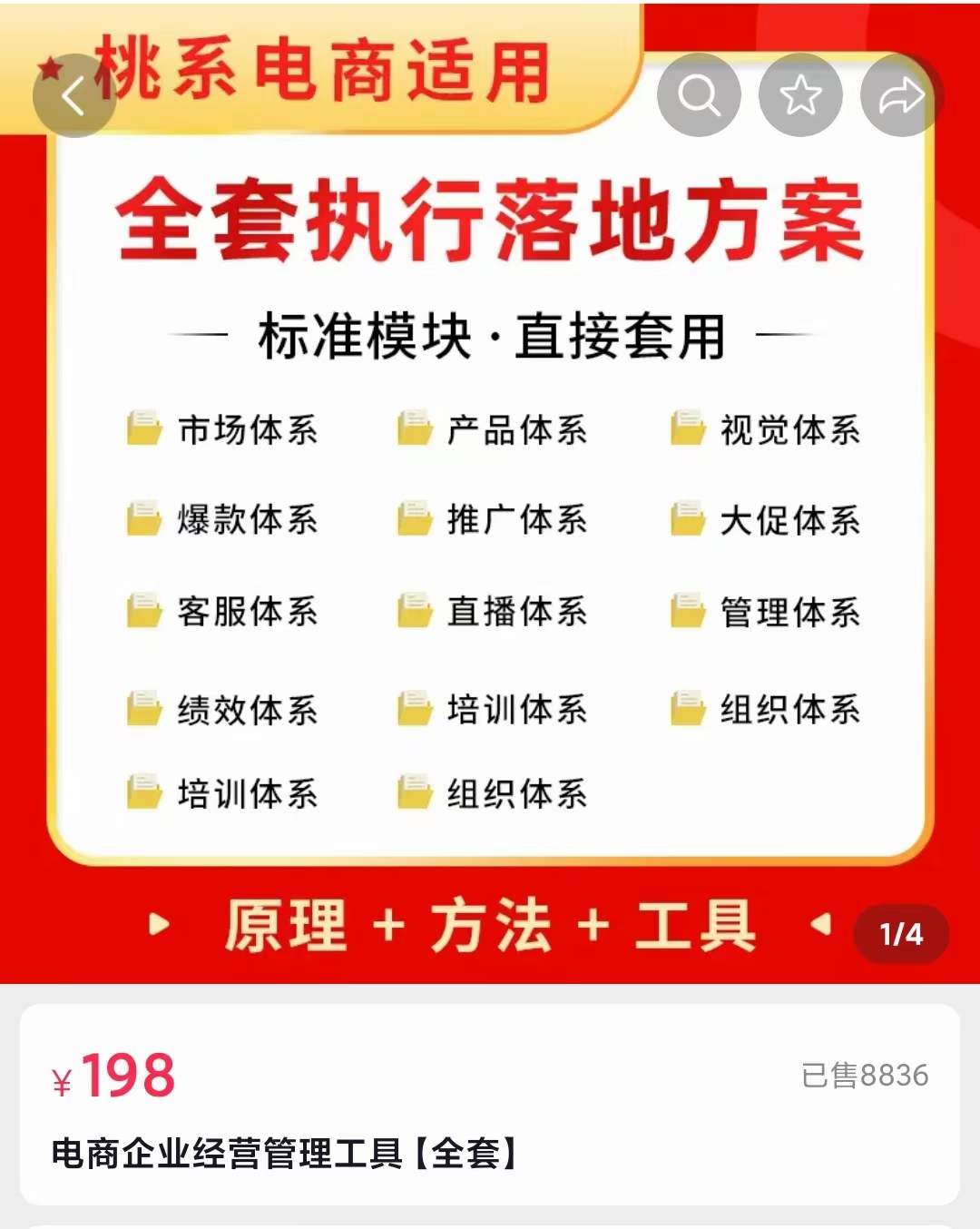 外面卖198·电商企业经营管理工具：全套执行落地方案 标准模块·直接套用-靠谱项目库