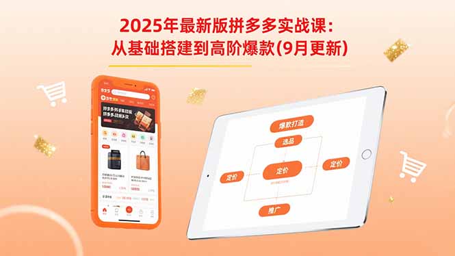 （15899期）2025年最新版拼多多实战课：从基础搭建到高阶爆款（9月更新）-靠谱项目库