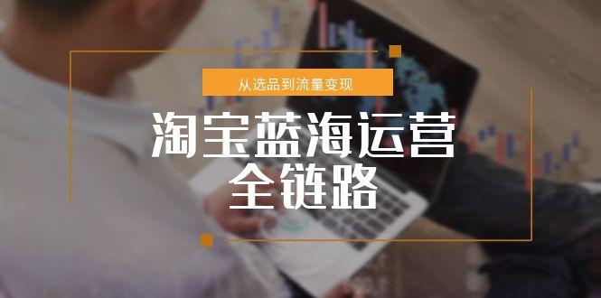 （15160期）淘宝蓝海运营全链路，从选品到流量变现，小类目突围完整方案-靠谱项目库