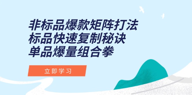 （15068期）非标品爆款矩阵打法，标品快速复制秘诀，单品爆量组合拳-靠谱项目库
