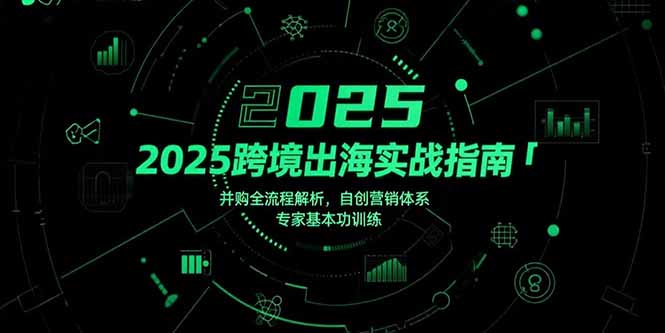 （15503期）2025跨境出海实战指南，并购全流程解析，自创营销体系，专家基本功训练-靠谱项目库