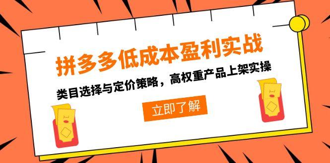 （15143期）拼多多低成本盈利实战，类目选择与定价策略，高权重产品上架实操-靠谱项目库