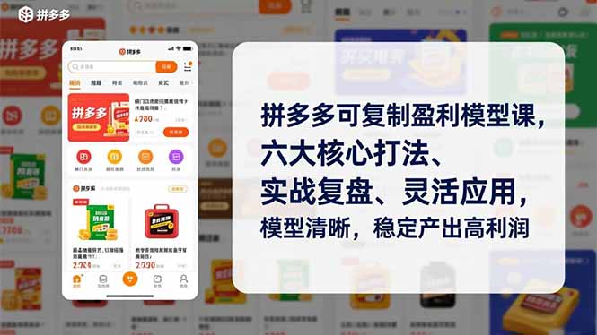 （16952期）拼多多可复制盈利模型课，六大核心打法、实战复盘、灵活应用，模型清晰，稳定产出高利润-靠谱项目库