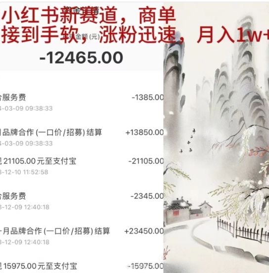 小红书新赛道，商单接到手软，涨粉迅速，一个月1w+-靠谱项目库