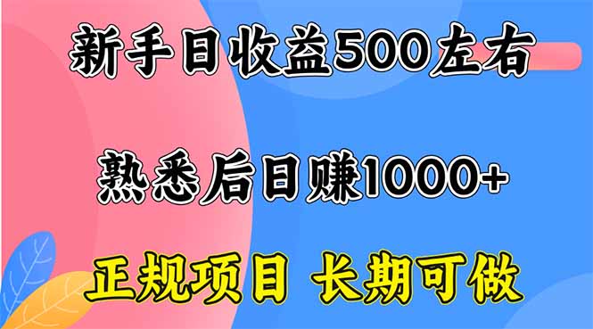 （16132期）新手日收益500+ 正规项目 长期可做-靠谱项目库