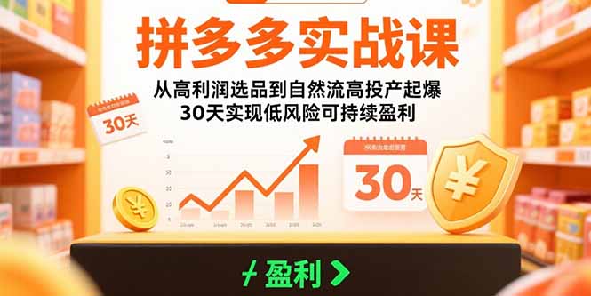 （15586期）拼多多实战课：从高利润选品到自然流高投产起爆 30天实现低风险可持续盈利-靠谱项目库