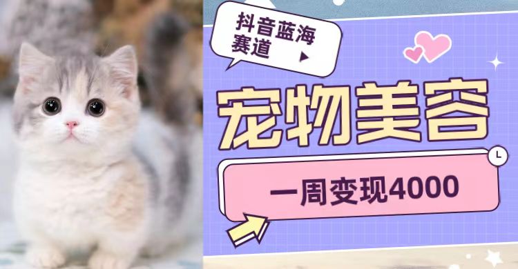 抖音蓝海赛道，宠物美容，一周变现4000-靠谱项目库