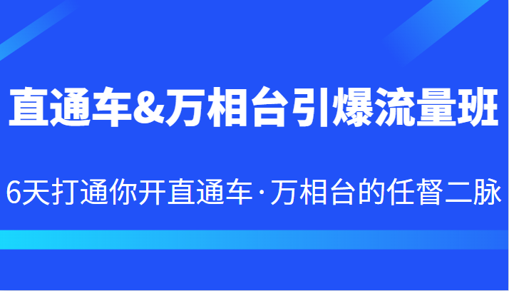 直通车&万相台引爆流量班 6天打通你开直通车·万相台的任督二脉-靠谱项目库