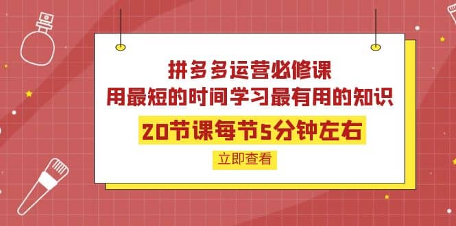 拼多多运营必修课：20节课每节5分钟左右，用最短的时间学习最有用的知识-靠谱项目库