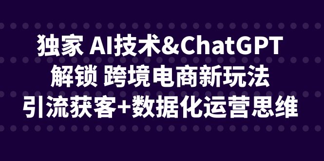 独家 AI技术&ChatGPT解锁 跨境电商新玩法，引流获客+数据化运营思维-靠谱项目库