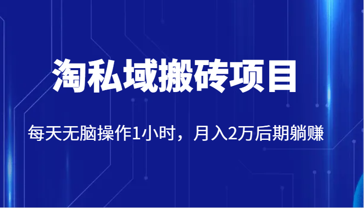 价值2980的淘私域搬砖项目，每天无脑操作1小时，月入2万后期躺赚-靠谱项目库