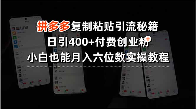 （15613期）拼多多复制粘贴引流秘籍，日引400+付费创业粉，小白也能月入六位数实操...-靠谱项目库