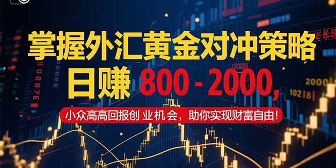 （15198期）掌握外汇黄金对冲策略，日赚 800 – 2000，小众高回报创业机会，助你实…-靠谱项目库