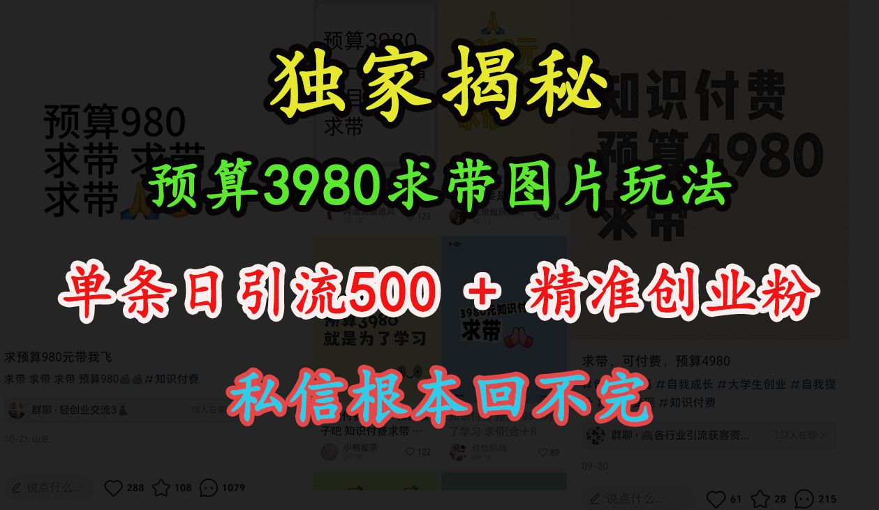 “小红书”预算3980求带 图片玩法，单条日引流500+精准创业粉，私信根本回不完-靠谱项目库