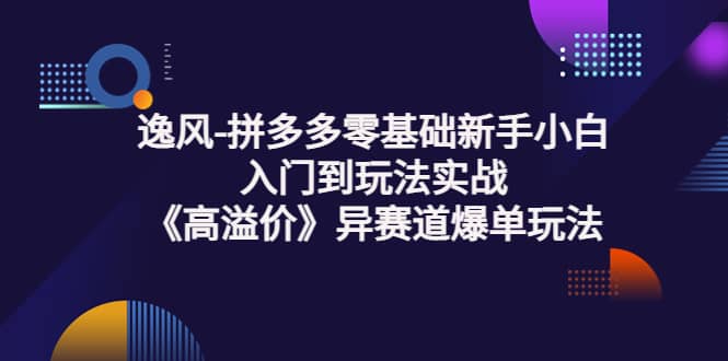 拼多多零基础新手小白入门到玩法实战《高溢价》异赛道爆单玩法实操课-靠谱项目库