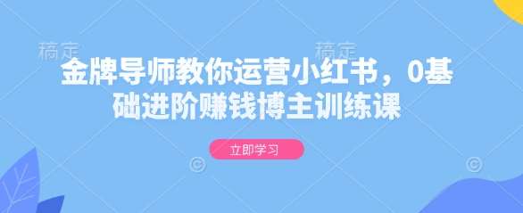 金牌导师教你运营小红书，0基础进阶赚钱博主训练课-靠谱项目库