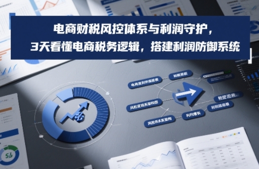 电商财税风控体系与利润守护，3天看懂电商税务逻辑，搭建利润防御系统-靠谱项目库