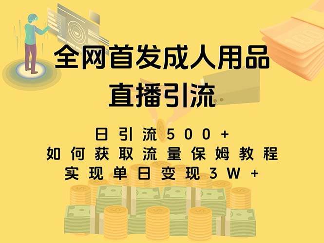 最新全网独创首发，成人用品直播引流获客暴力玩法，单日变现3w保姆级教程-靠谱项目库