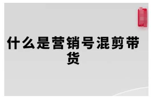 营销号混剪带货，从内容创作到流量变现的全流程，教你用营销号形式做混剪带货-靠谱项目库