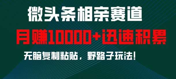 微头条相亲赛道，迅速积累，无脑复制粘贴，野路子玩法，月入1w-靠谱项目库