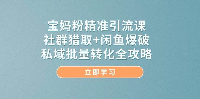宝妈粉精准引流课，社群猎取+闲鱼爆破，私域批量转化全攻略-靠谱项目库