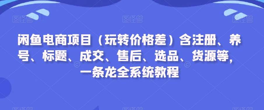 闲鱼电商项目（玩转价格差）含注册、养号、标题、成交、售后、选品、货源等，一条龙全系统教程-靠谱项目库