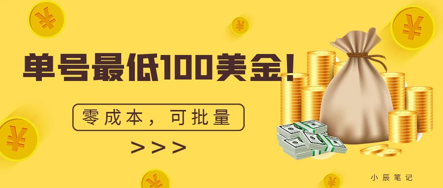 单号最低100美金，零成本，小白无脑操作。可复制，可扩大。-靠谱项目库