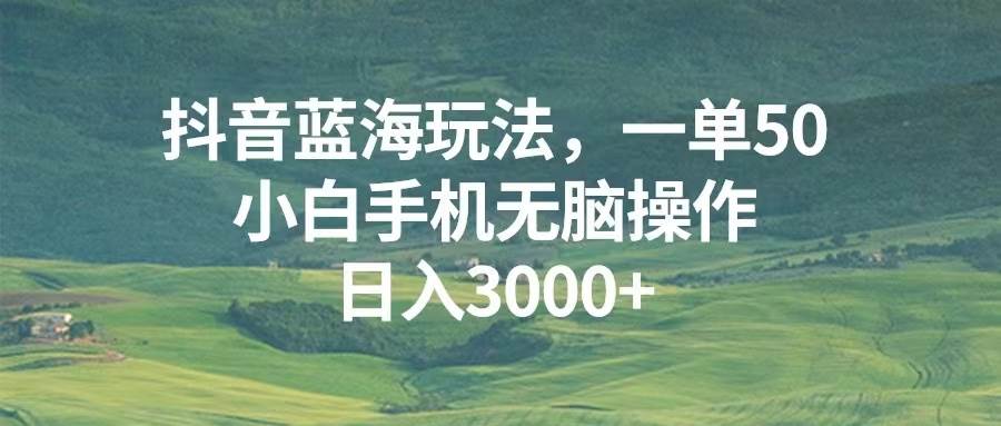 （13353期）抖音蓝海玩法，一单50，小白手机无脑操作，日入3000+-靠谱项目库