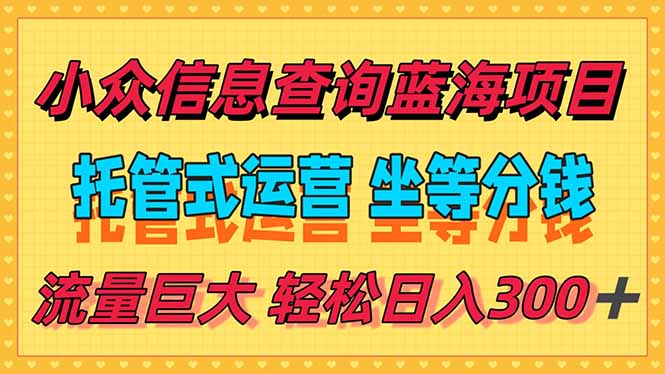 （15216期）稳定日入300＋，小众信息查询蓝海项目，全程懒人式托管，解放你的时间-靠谱项目库