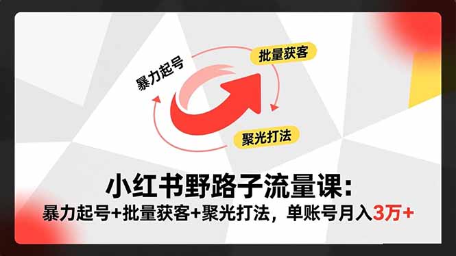 （16513期）小红书野路子流量课：暴力起号+批量获客+聚光打法，单账号月入3万+-靠谱项目库
