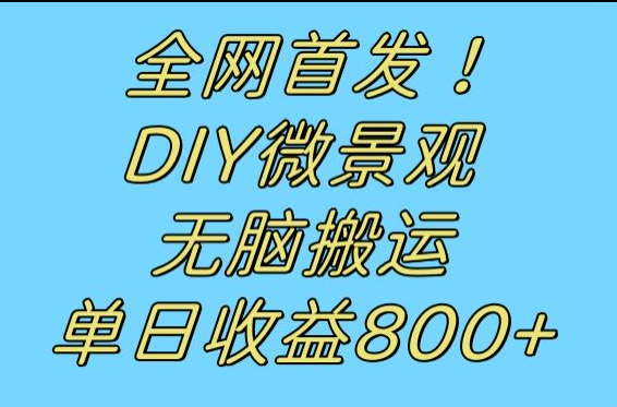 全网首发冷门赛道！DIY微景观，无脑搬运视频，日收益800+-靠谱项目库