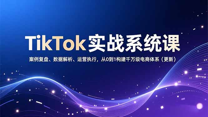（16918期）TikTok实战系统课，案例复盘、数据解析、运营执行，从0到1构建千万级电商体系（更新）-靠谱项目库