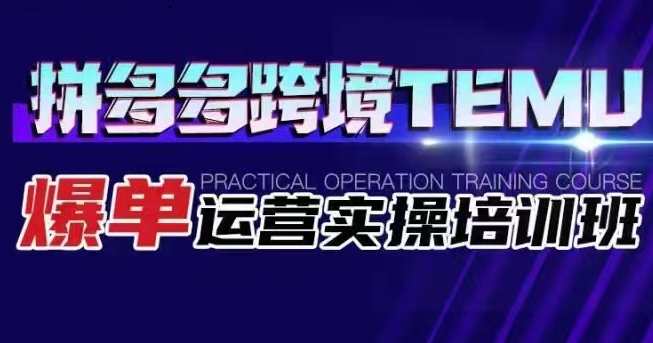 拼多多跨境TEMU爆单运营实操培训班 海外拼多多的选品、运营、爆单-靠谱项目库