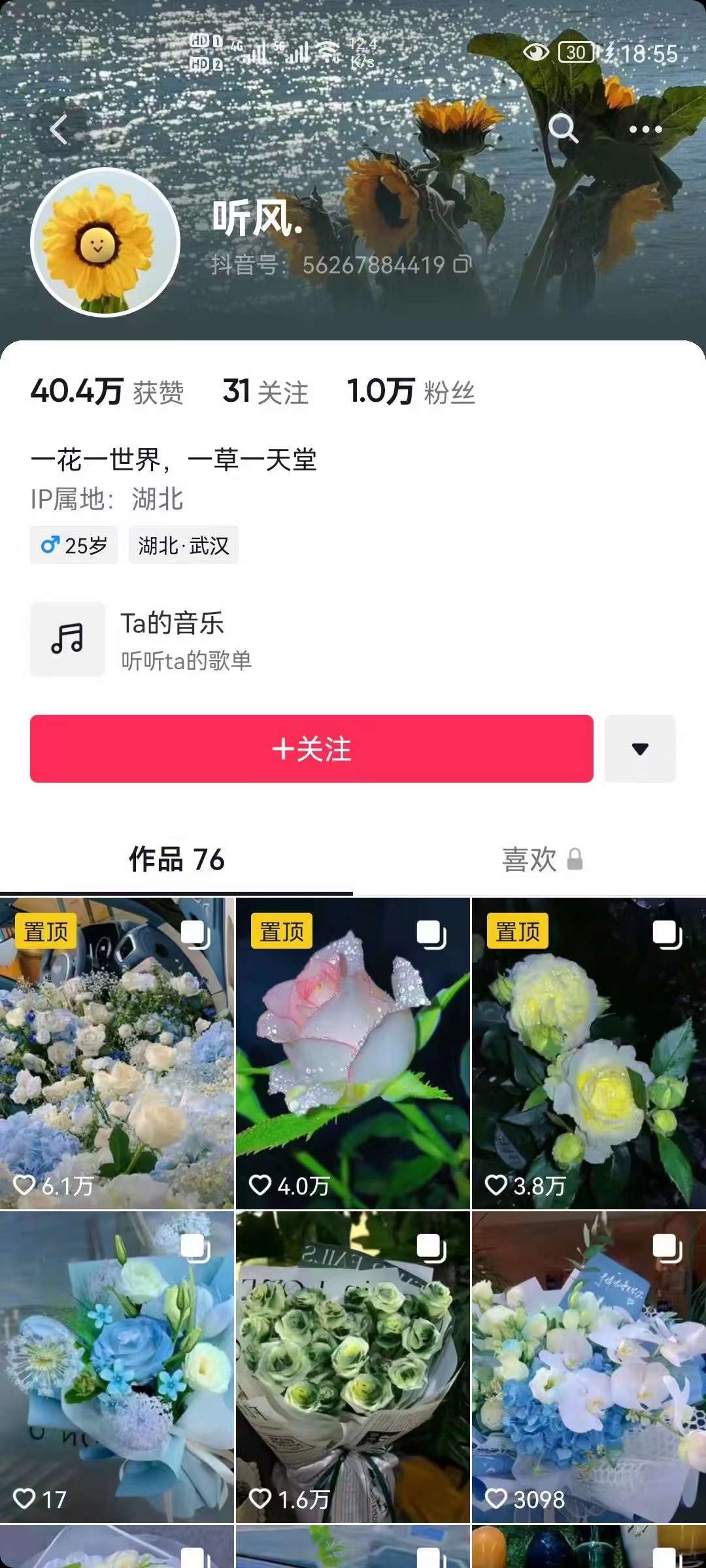 图片[2]-抖音壁纸变现项目：实战日入380+发布壁纸素材获取收益！-靠谱项目库